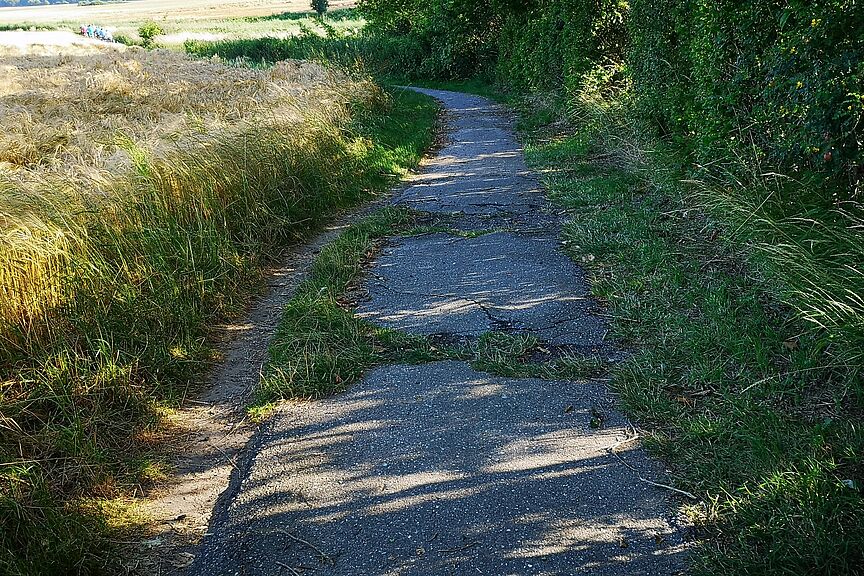 Ostseeküstenradweg bei Altefähr