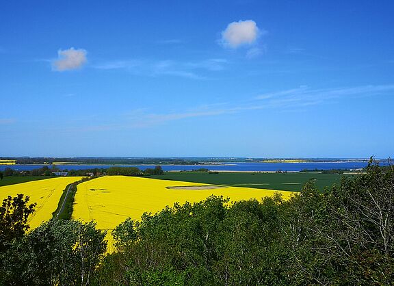 Radtour um den Großen Jasmunder Bodden